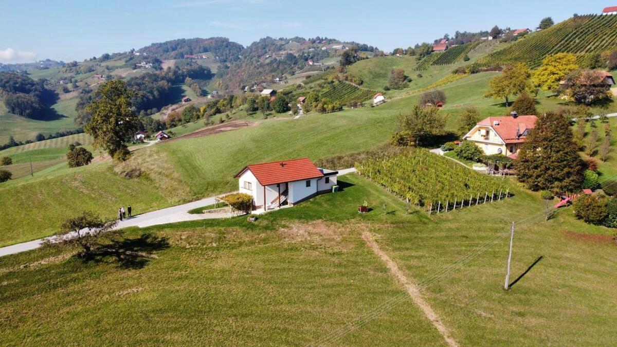 Holiday House Zlacka Gorca Pristava pri Mestinju Dış mekan fotoğraf