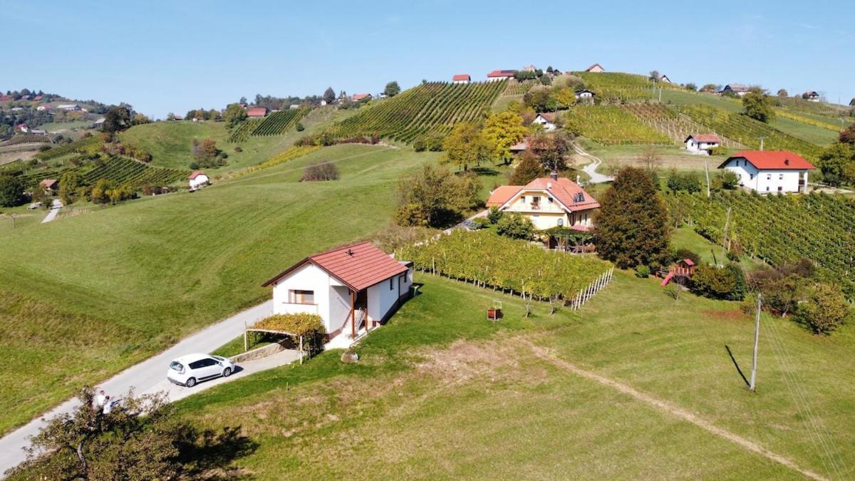 Holiday House Zlacka Gorca Pristava pri Mestinju Dış mekan fotoğraf