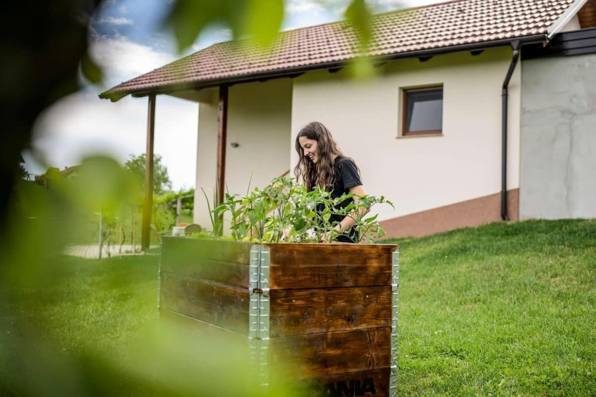 Holiday House Zlacka Gorca Pristava pri Mestinju Dış mekan fotoğraf